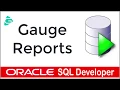 Oracle SQL Developer - Gauge Reports