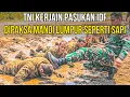 Lagu BRAVO TNI‼️30 TENTARA IDF DIPAKSA MANDI LUMPUR USAI SALAH MASUK KE MARKAS TNI SIANG INI‼️