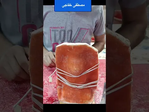 الاسد مصطفى خفاجى كيف تصنع