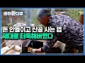 Download Lagu 자연인도 머리가 좋아야 돈 안들이고 산다｜큰돈 들어갈 일없이 편하게 산다는 자연인 생활 실제로 보니..｜한국기행｜#골라듄다큐