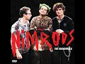 I'm Never Gonna R.I.P. - Green Day