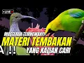 Download Lagu MASTERAN GILA MEWAHH!! MATERI INI MASUK KE MURAI ATAU CUCAK IJO - JAMINAN LANGSUNG JUARA DUNIA