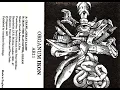 Download Lagu Organum - Ikon (FULL ALBUM) (1987, Drone \u0026 Ambient)