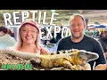 HOW MUCH are the Coolest Reptiles at this REPTILE EXPO