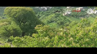 اغاني الفنان ايوب طارش  حبيب القلب ليتك   بالذي بي   دندنها