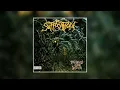 Suffocation - Pierced from Within (1995) FULL ALBUM [HQ]