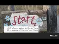 What to Do in Your First Week of Your eCore Class