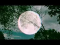 The Strawberry Moon - Summer