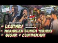 Download Lagu LAGU DJANDUT TERBARU ! LESTARI - MEKARLAH - SIGAR + CUNDAMANI All Artis ROGO SAMBOYO PUTRO Shf Audio