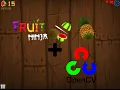 FRUIT NINJA open cv