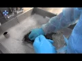 Colonoscope reprocessing cycle 1