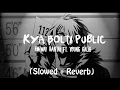 Kya Bolti Public - Lofi (Slowed + Reverb) | Emiway Bantai ft. Young Galib | The Ribisto