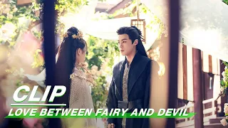 orchid forgets about the past after resurrection love between fairy and devil ep33 iqiyi