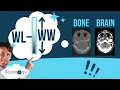 Window Width and Level CT Physics Head Chest Abdomen Spine