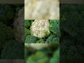 Download Lagu 5 Makanan yang Baik Bagi Penderita Hipertensi (Darah Tinggi)