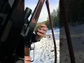 Download Lagu ✅out browning lever 🔫300 WSM made in Japan and what it does to canary melons 🍈🍈#shorts