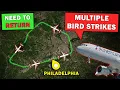 Download Lagu Multiple BIRD STRIKES on Takeoff | Emergency Return to Philadelphia