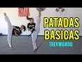 Lagu 4 BASIC TAEKWONDO KICKS