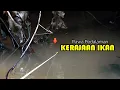 Download Lagu Rawa pedalaman menyimpan segudang kebahagiaan bagi pemancing  #SG-438