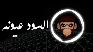 Moustafa Amar Al Sood Oyouno BASS BOOST مصطفى قمر السود عيونه عالية الجودة 