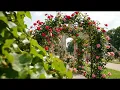 Romantic Beautiful Songs 80s| Best Love Ballads Playlist 🌸 Emotional Love Songs to Relax & Dream💖