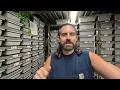 The Basics Of When To Breed Your Ball Pythons For The 1st Time TSRR 38