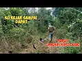 Download Lagu keganasan burung Kacer‼️bikin saya harus begini!!
