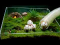 STEPHAN S KIDS MOVED INTO AN UNDERGROUND HAMSTERARIUM