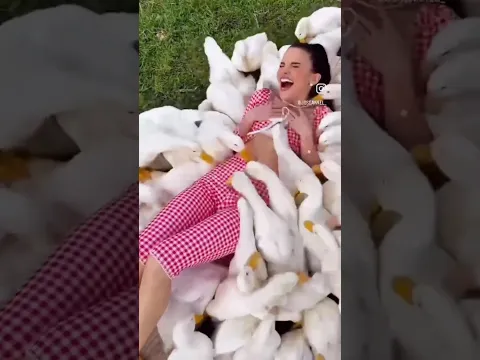 ÖRDƏK 😂  #azerbaijan #elcinmurselov #comedy #shortvideo #shorts