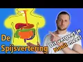 Lagu Het spijsverteringsstelsel - Anatomie en functie