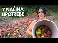 Have Fallen Apples You ll Never Throw Them Away Again After This
