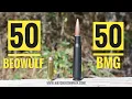 50 Beowulf vs 50 BMG