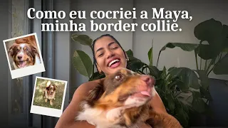 MINHA HISTÓRIA COM A MAYA, Nossa Conexão Através da Lei da Atração!