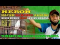 Download Lagu HEBOH ! Kacer Albino KANJENG Bikin Musuh Tak Berkutik