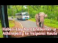 Download Lagu 🐘🐘 The ULTIMATE Forest Adventure BUS RIDE from Chalakudy to Malakkappara 🔥🔥 Jolly Trip