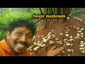 Download Lagu Junglee forest mushroom | Junglee mushroom eating 