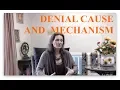 Denial Cause and Mechanism How Denial Appears and Persists - Interview with Lynn Himmelman