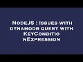 NodeJS Issues with dynamodb query with KeyConditionExpression