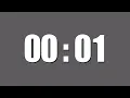 1 Sec Timer