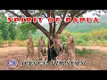 Download Lagu THE SPIRIT OF PAPUA Dance Version by CK DANCE HOME || Music by  @alffy_rev ft @nowelamikheliaa