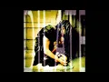 Ani DiFranco - Untouchable Face