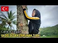 Download Lagu Gadis Desa Keturunan TURKI Cantik Dan Tangguh, Manjat Pohon Kelapa || Indonesian Girl Rural Life