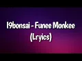 I9bonsai - Funee Monkee GIF