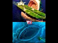 Download Lagu giant Angler fish VS the Deep sea creature,giant megalodon,julia beast