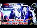 Download Lagu LIVE CIKEUSIK | AYUN AMBING - TUMILA versi AKTOR MUDA MUSIK voc: All artist 