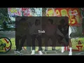 【ヒップホップ和訳】”Where I Belong” Joey Badass （ジョーイバッドアス）