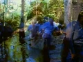 The Mighty Mighty Bosstones - Kinder Words