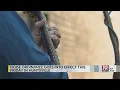 Noise Ordinance Goes Into Effect This Friday in Huntsville