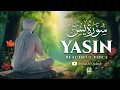Lagu Surah Yasin | The Heart of the Quran | A Source of Peace and Forgiveness | سورة يس 