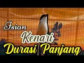 Download Lagu CENDET GACOR ISIAN KENARI DURASI PANJANG